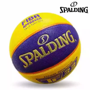 Basket-Spalding-TF33-1