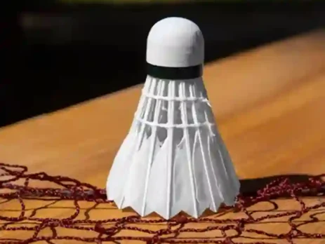 Shuttlecock