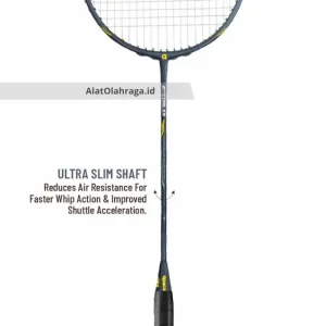 Raket Badminton APACS Nextgen